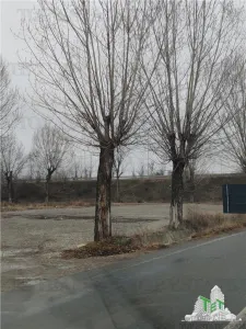 Teren  investitie Ploiesti - foto 6