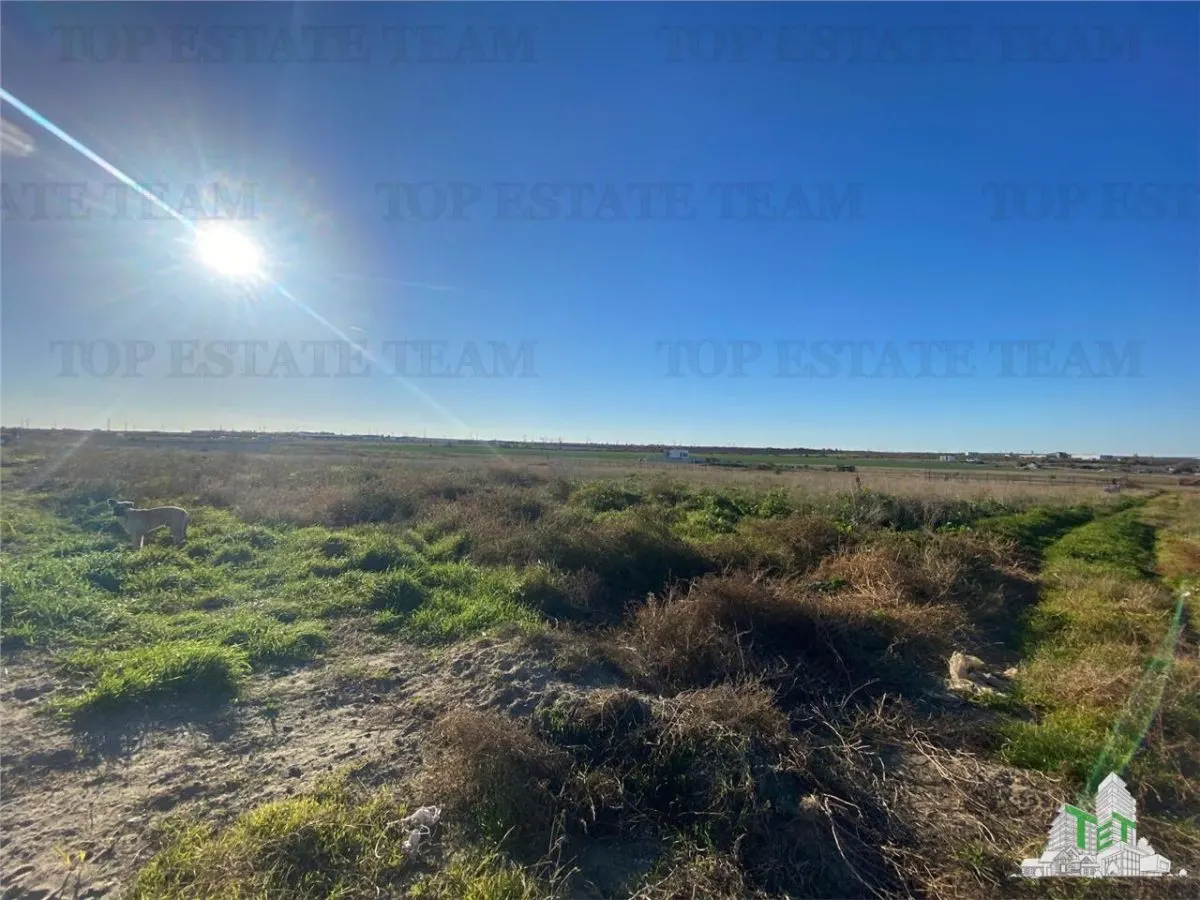 TEREN INTRAVILAN BOREAL - foto 4