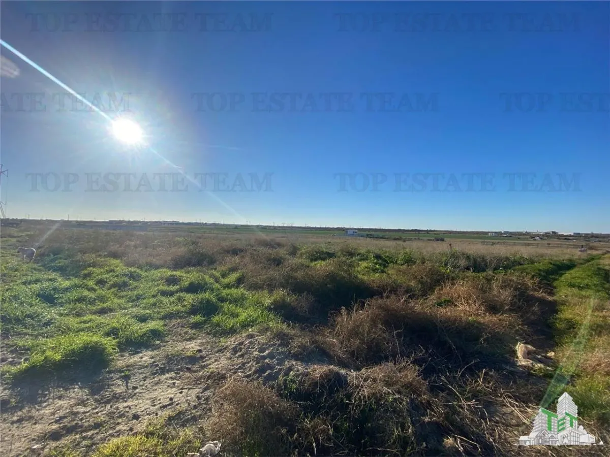 TEREN INTRAVILAN BOREAL - foto 5