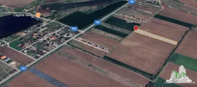 Teren pentru case 6000mp Moara Vlasiei - Moara Vlasiei