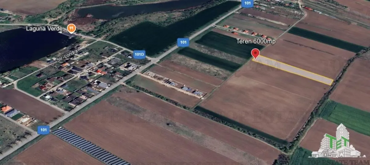 Teren pentru case 6000mp Moara Vlasiei - foto 1
