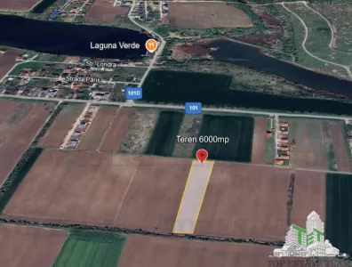 Teren pentru case 6000mp Moara Vlasiei - foto 2