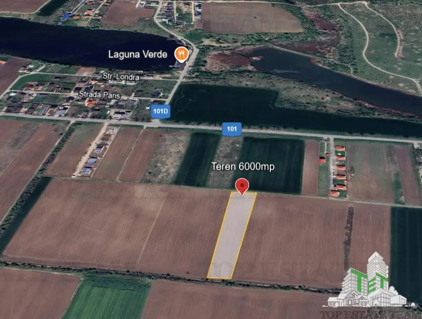 Teren pentru case 6000mp Moara Vlasiei - foto 2