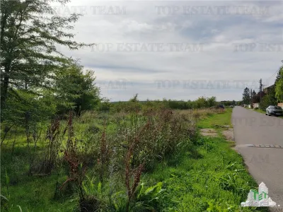 Teren 20.000mp Corbeanca - foto 3