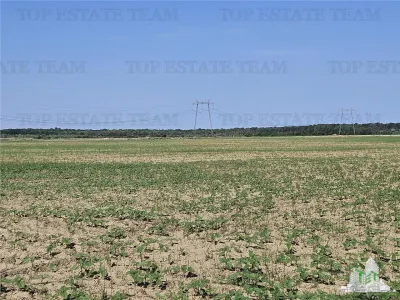 Vanzare teren cu pozitionare excelenta la A1, sensul Pitesti Bucuresti, aproape de nod rutier cu A0 - foto 4