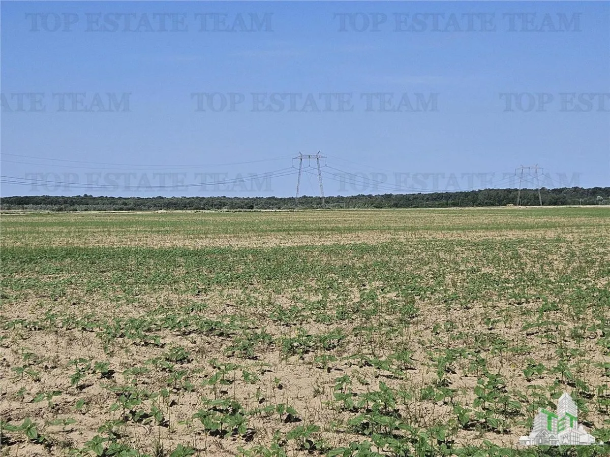 Vanzare teren cu pozitionare excelenta la A1, sensul Pitesti Bucuresti, aproape de nod rutier cu A0 - foto 4