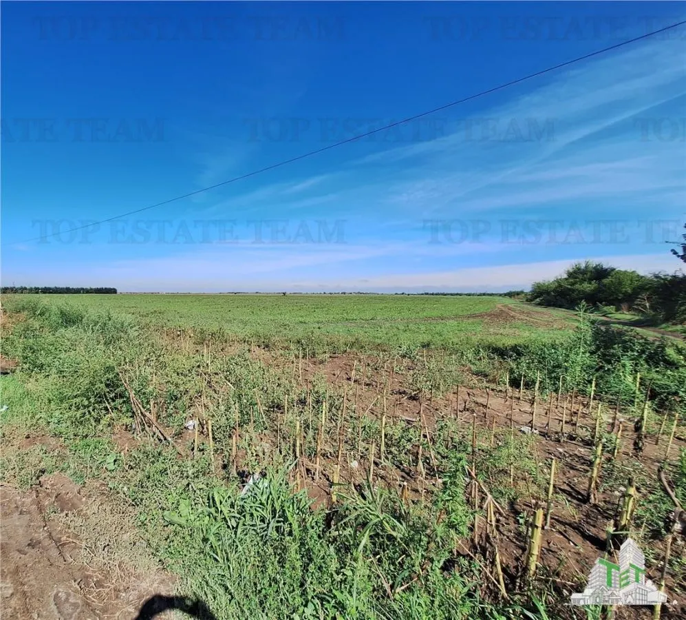 Teren extravilan -Braila - Soseaua Focsani - vanzare - foto 1