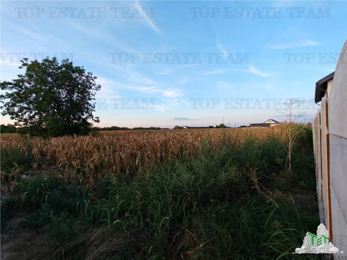 Teren intravilan pentru constructii stradal, 2965 mp, cu toate utilitatile si deschidere la 2 strazi, comuna 1 Decembrie - foto 3