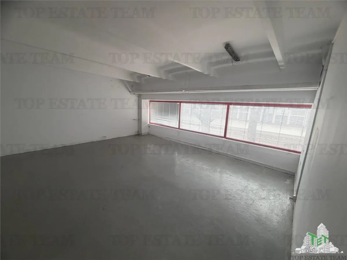 De inchiriat spatii comerciale, hale si birouri - foto 13