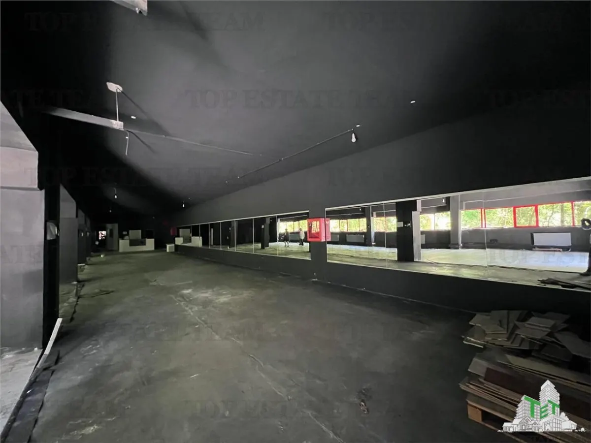 De inchiriat spatii comerciale, hale si birouri - foto 22