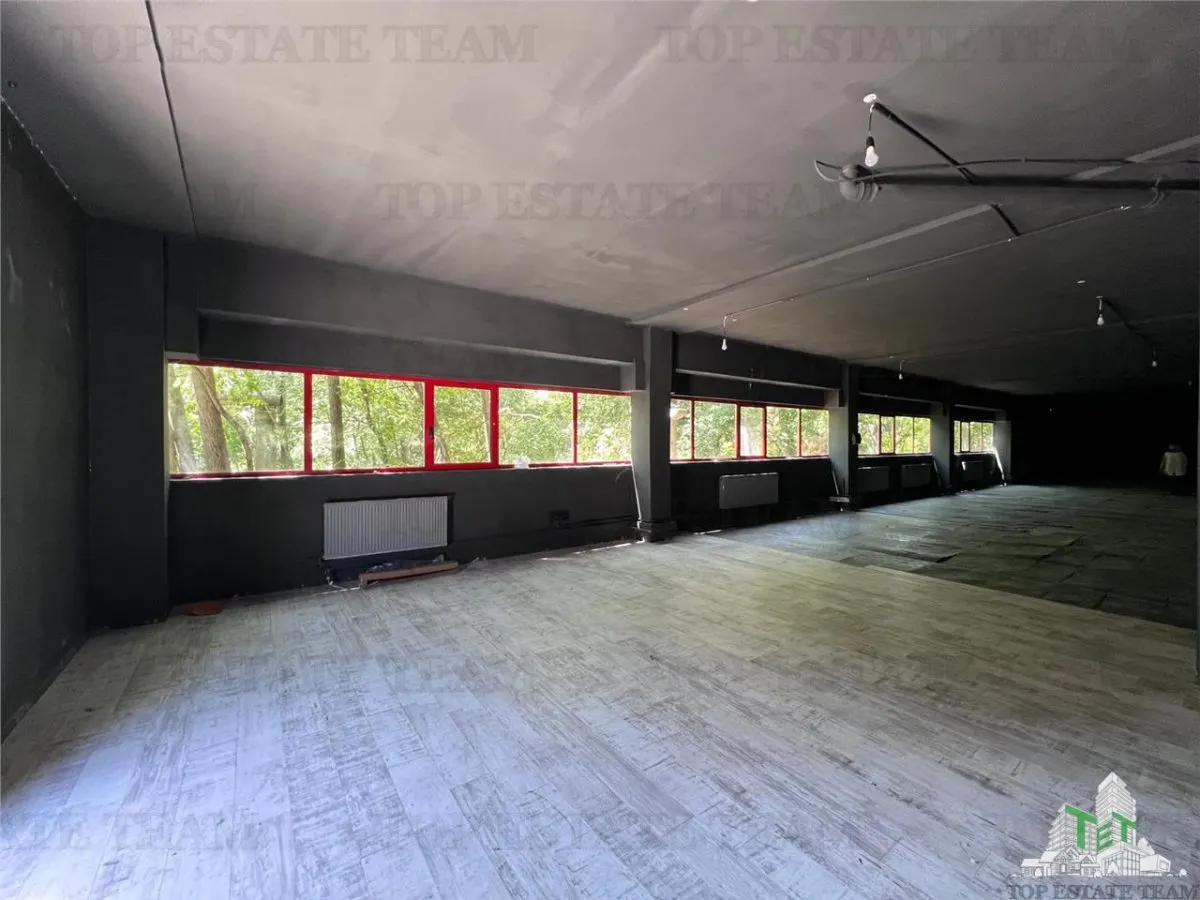 De inchiriat spatii comerciale, hale si birouri - foto 23