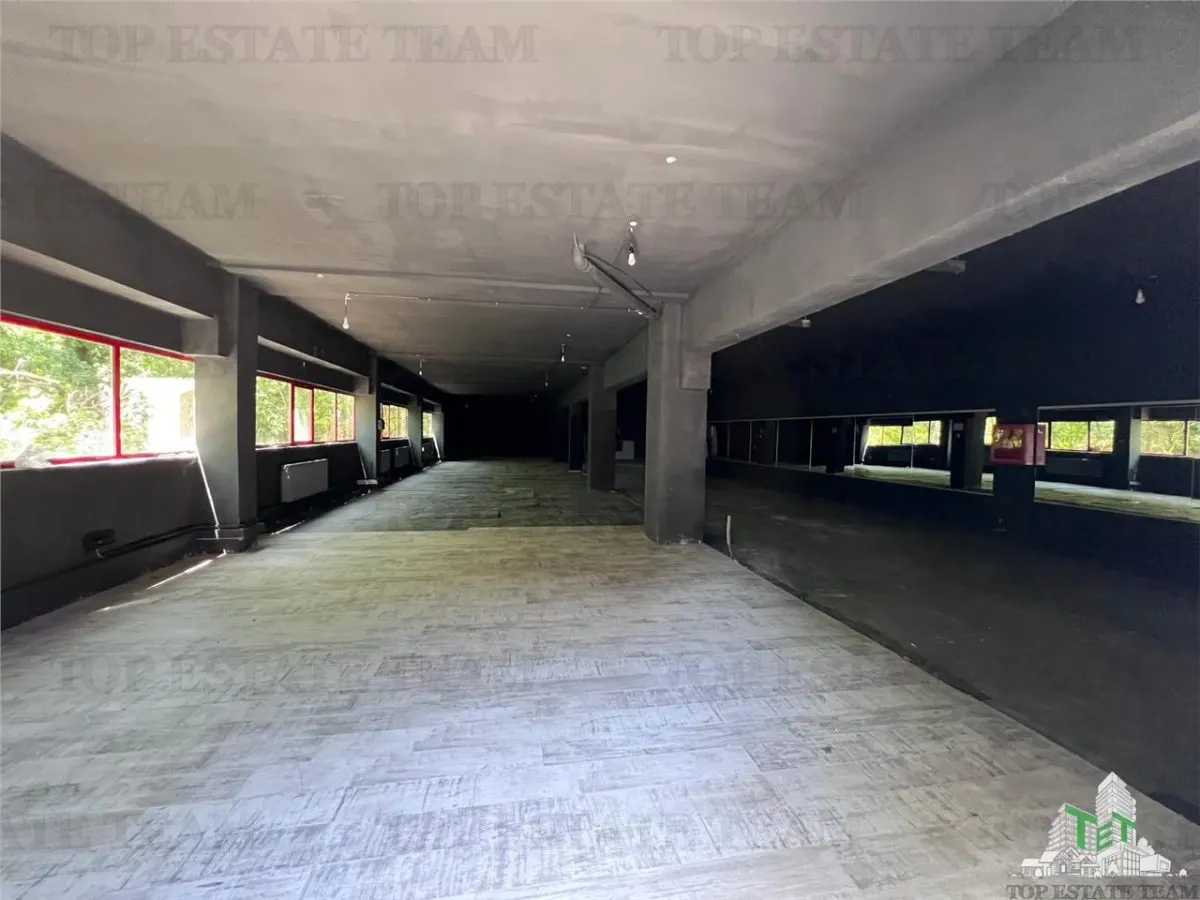 De inchiriat spatii comerciale, hale si birouri - foto 24