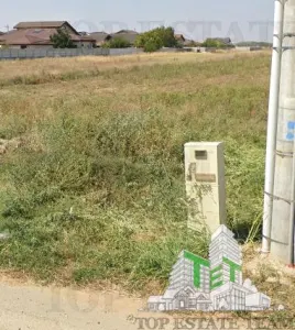 Teren intravilan 1.7 ha Dragomiresti Vale-Zurbaua, deschidere 34m la strada asfaltata, toate utilitatile, potential de dezvoltare rezidential - foto 15