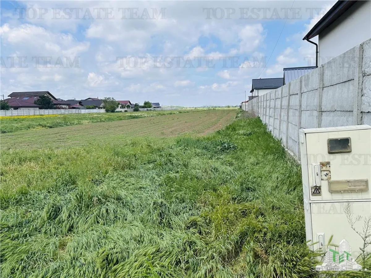 Teren intravilan 1.7 ha Dragomiresti Vale-Zurbaua, deschidere 34m la strada asfaltata, toate utilitatile, potential de dezvoltare rezidential - foto 3