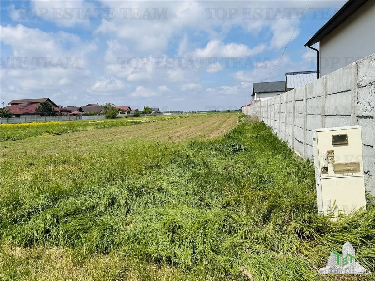Teren intravilan 1.7 ha Dragomiresti Vale-Zurbaua, deschidere 34m la strada asfaltata, toate utilitatile, potential de dezvoltare rezidential - foto 7