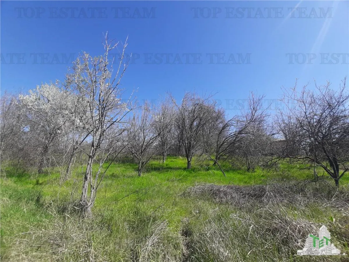 Teren 4000 mp + casa demolabila in Bragadiru/Varteju (Magurele) - foto 1