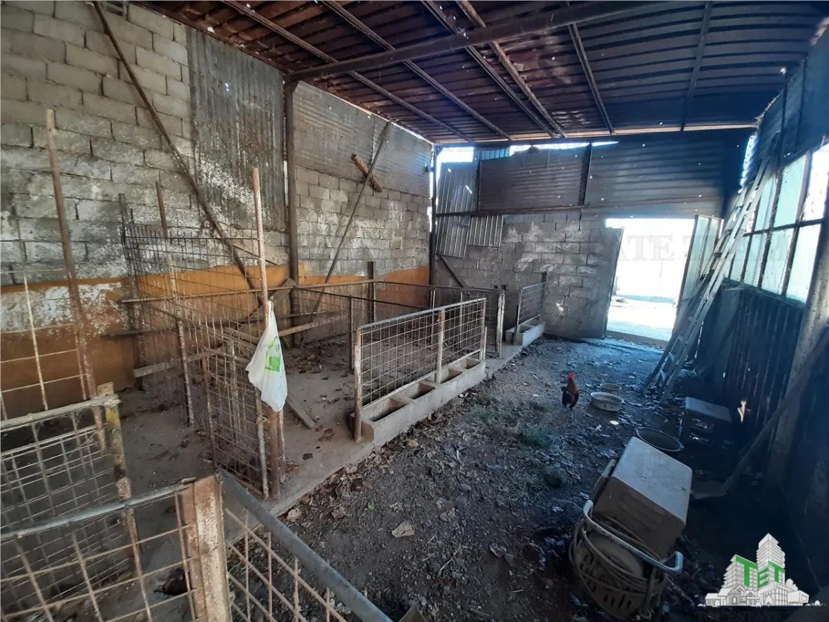Teren 4000 mp + casa demolabila in Bragadiru/Varteju (Magurele) - foto 13