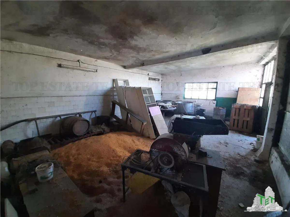 Teren 4000 mp + casa demolabila in Bragadiru/Varteju (Magurele) - foto 16