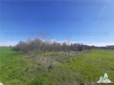 Teren 4000 mp + casa demolabila in Bragadiru/Varteju (Magurele) - foto 4