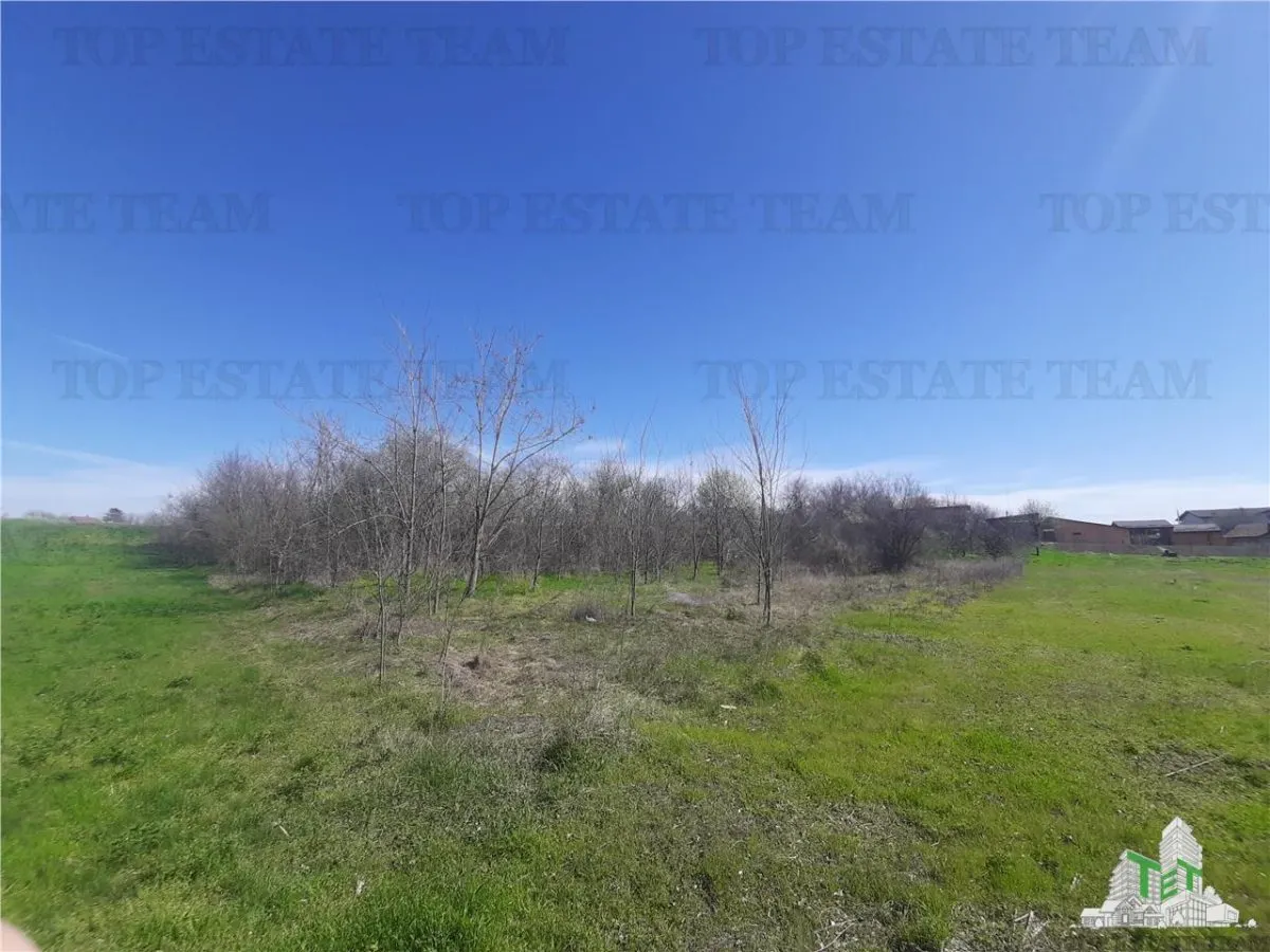 Teren 4000 mp + casa demolabila in Bragadiru/Varteju (Magurele) - foto 4