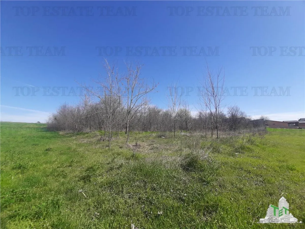 Teren 4000 mp + casa demolabila in Bragadiru/Varteju (Magurele) - foto 7