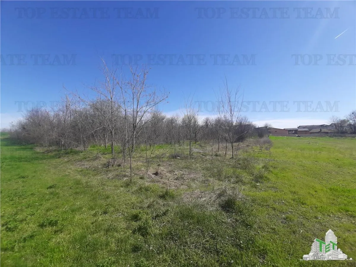 Teren 4000 mp + casa demolabila in Bragadiru/Varteju (Magurele) - foto 10