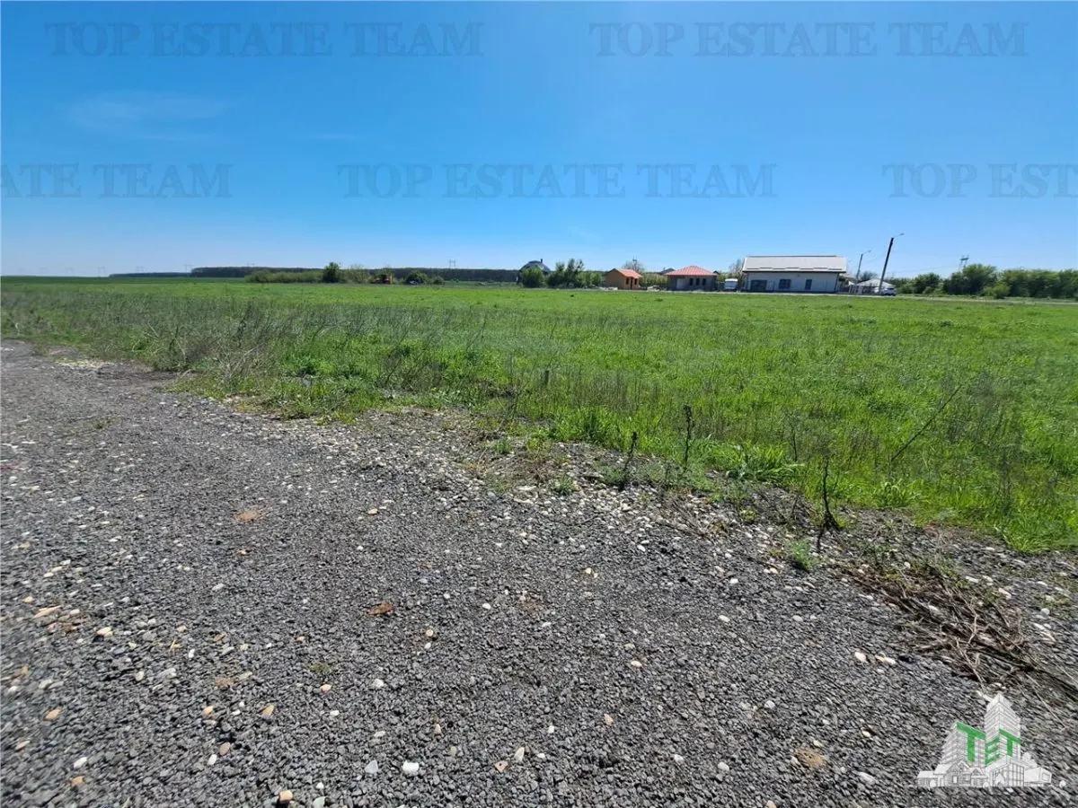 Loturi teren de vanzare Branesti/Vadu Anei - foto 1