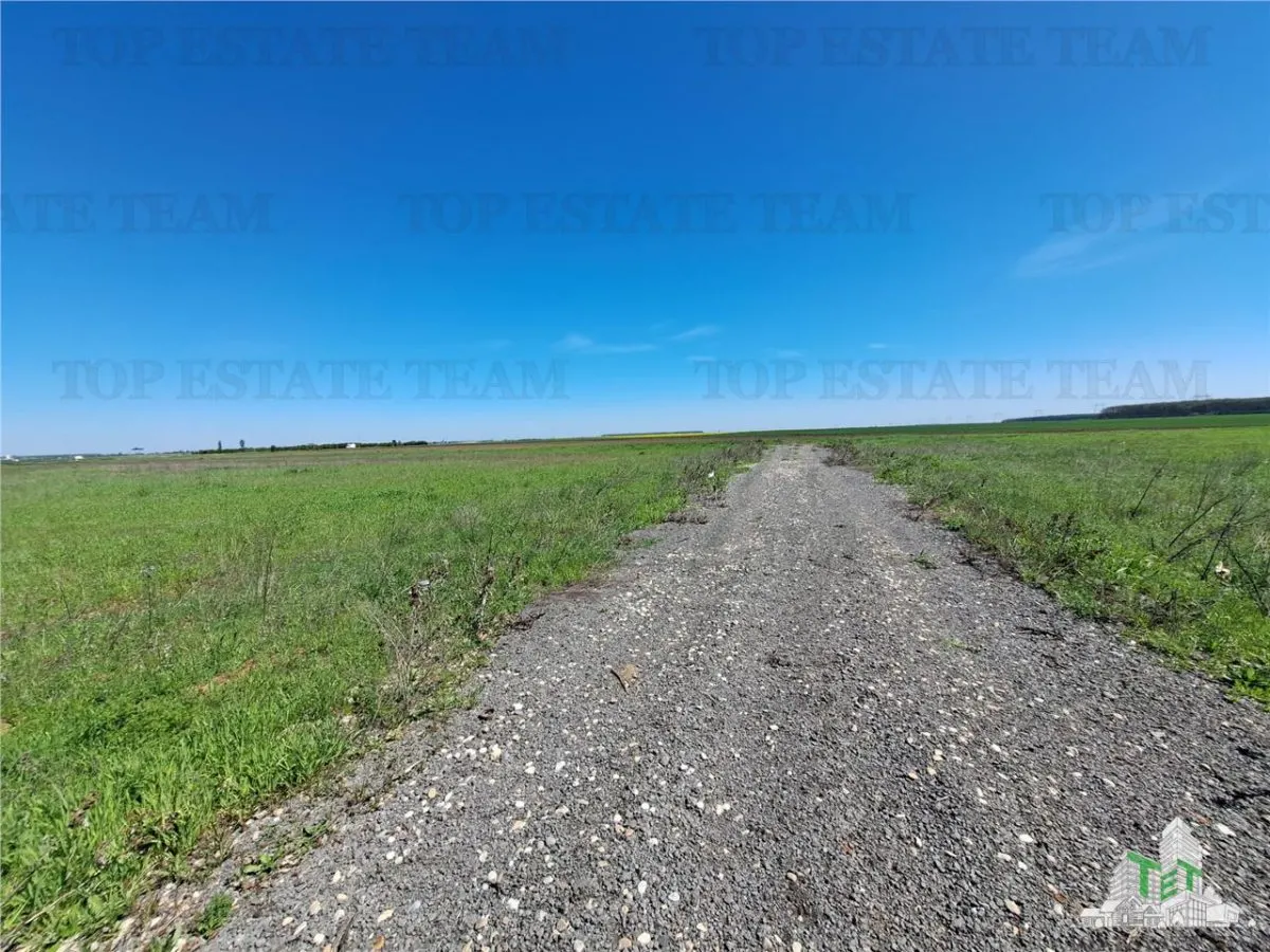 Loturi teren de vanzare Branesti/Vadu Anei - foto 13