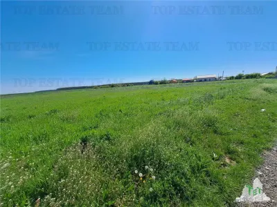 Loturi teren de vanzare Branesti/Vadu Anei - foto 7