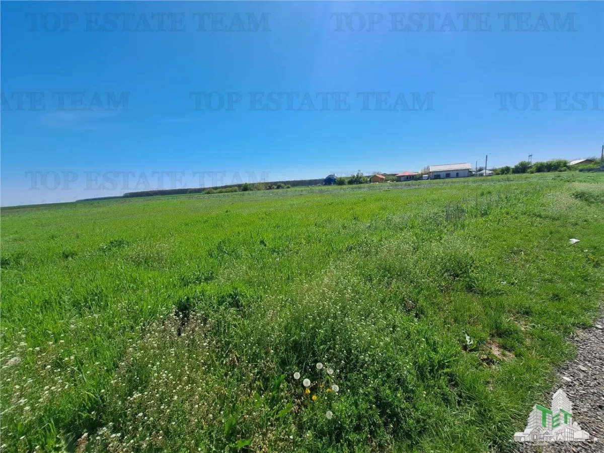Loturi teren de vanzare Branesti/Vadu Anei - foto 7