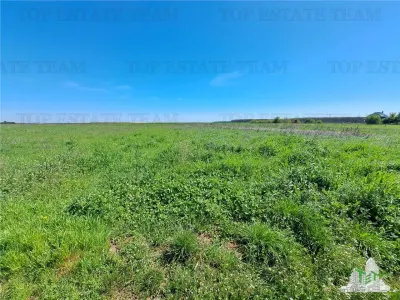 Loturi teren de vanzare Branesti/Vadu Anei - foto 8