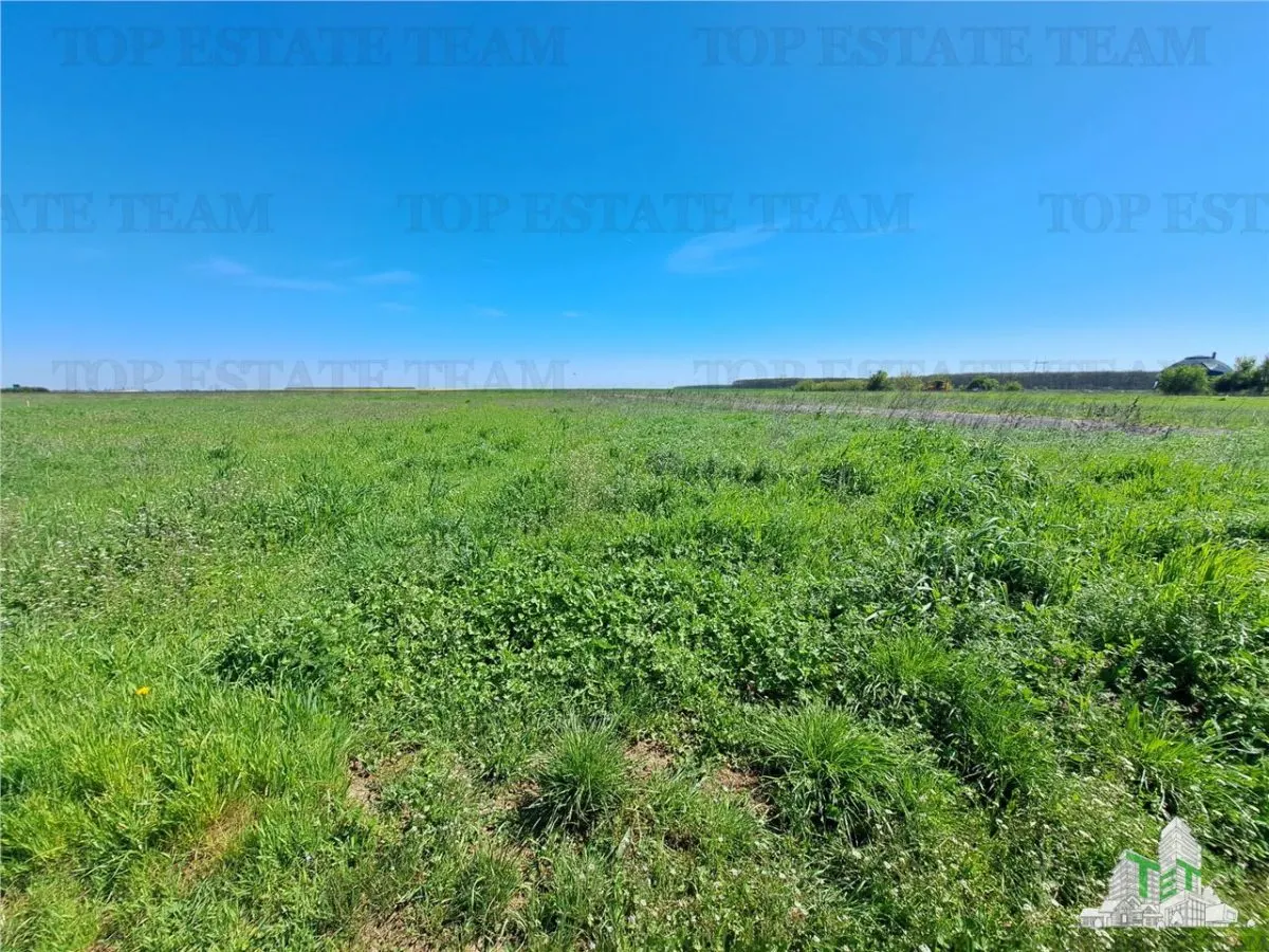 Loturi teren de vanzare Branesti/Vadu Anei - foto 8