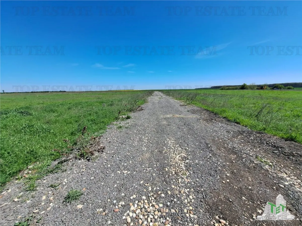 Loturi teren de vanzare Branesti/Vadu Anei - foto 9
