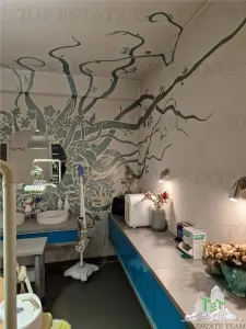 Apartament de vanzare Eminescu, parter bloc,  70 mpu , zona centrala, cabinet stomatologic - foto 13
