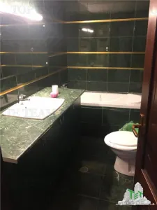 Vila de vanzare cu venit din chirie | Restaurant cu Terasa si 2 Apartamente  | Imobil  renovat  integral | Unirii - Cantemir - foto 5
