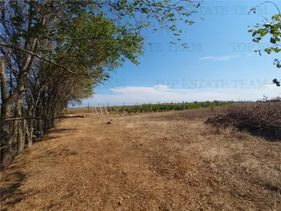 Teren intravilan agricol si teren curti constructii Lot 2 Parcela A326/49 - Agigea
