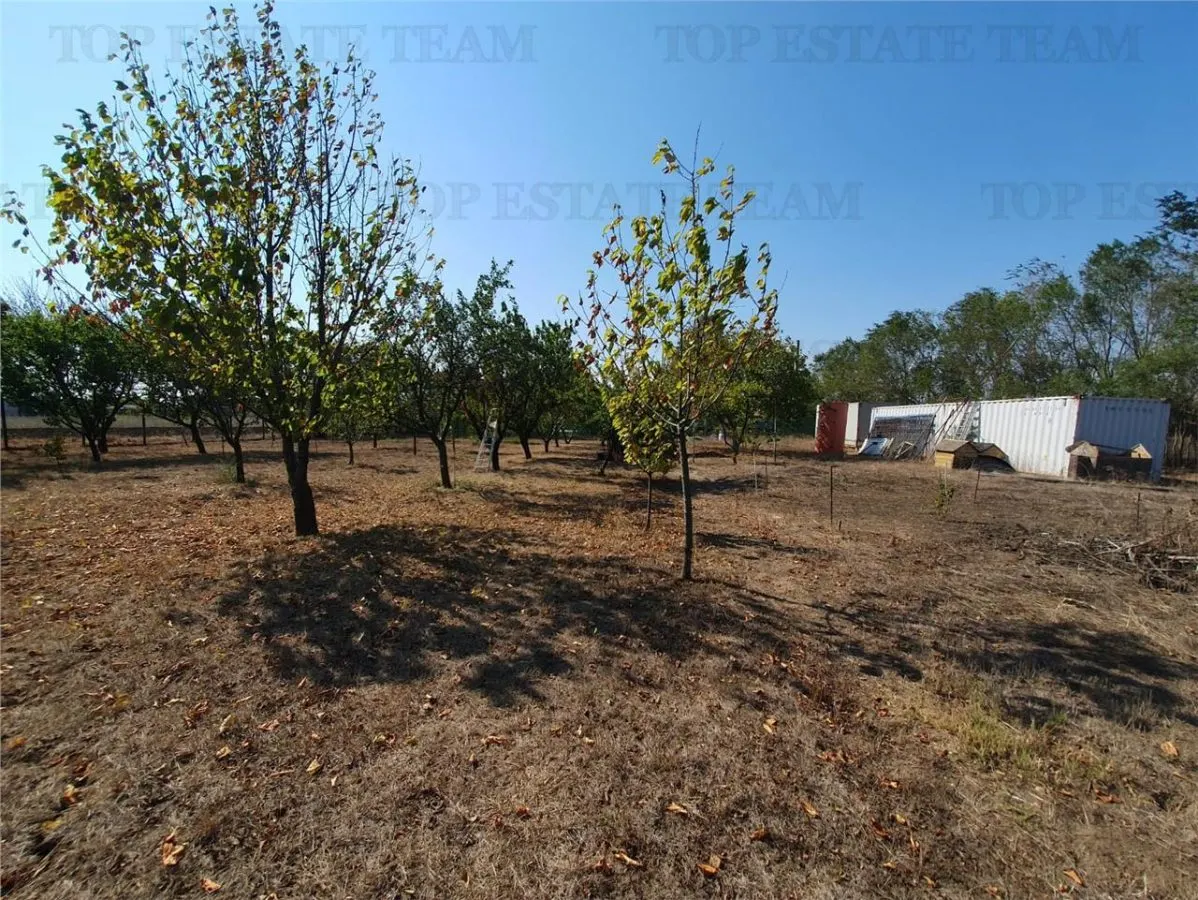 Teren intravilan agricol si teren curti constructii Lot 2 Parcela A326/49 - foto 12