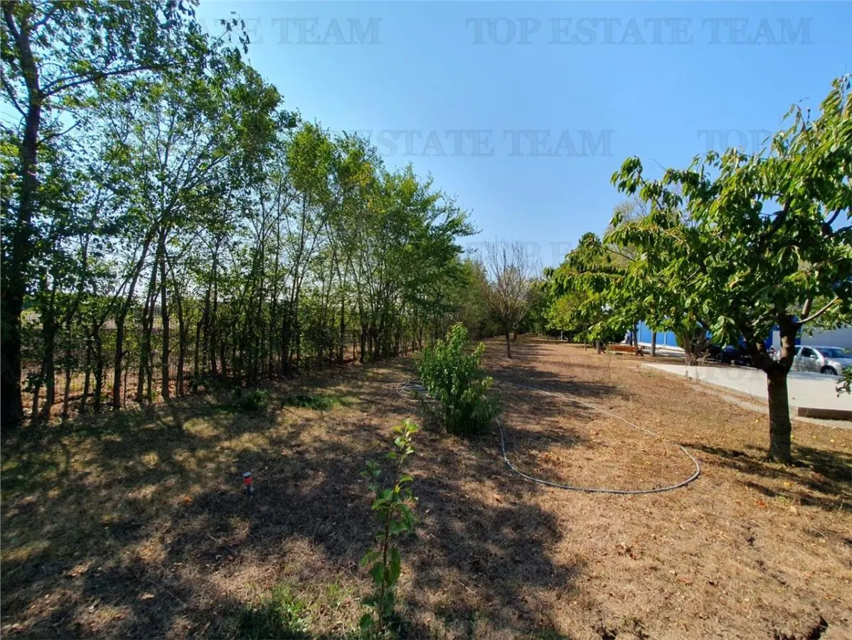 Teren intravilan agricol si teren curti constructii Lot 2 Parcela A326/49 - foto 13