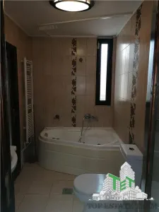 Apartament spectaculos 3 camere | Bulevardul Rosetti, Ultracentral | Investitie premium - foto 11