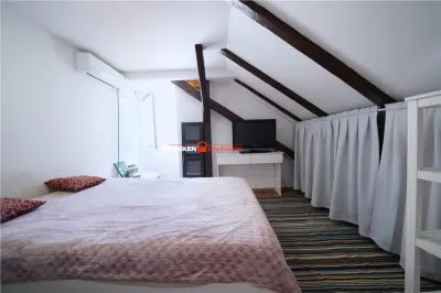 Apartament la mansarda | Louis Pasteur - foto 4