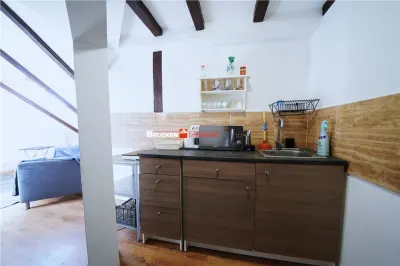 Apartament la mansarda | Louis Pasteur - foto 7