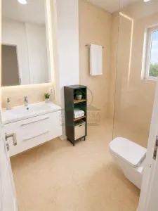 Casa Bucium Iasi 4 camere MOBILATA si UTILATA! - foto 21