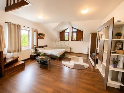 Casa Bucium Iasi + 1000 mp teren langa padure - foto 17