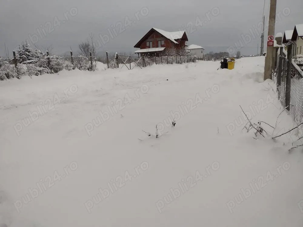 Teren intravilan cu utilitati, 10 ari, Satu Nou de Sus - foto 3