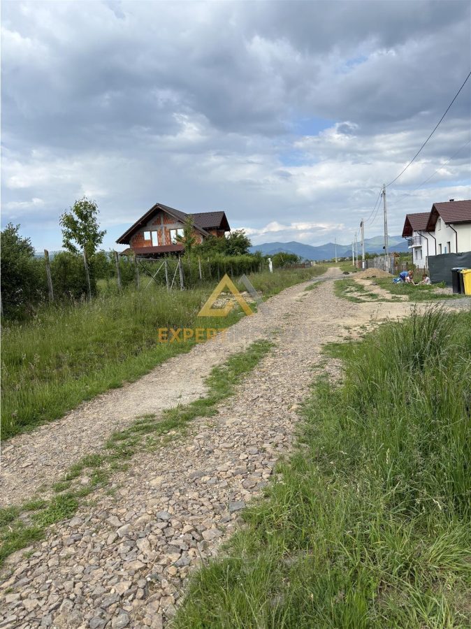 Teren intravilan cu utilitati, 10 ari, Satu Nou de Sus - foto 8
