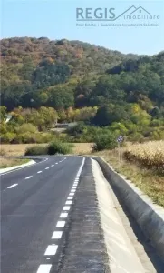 Teren Sanpetru 908mp - foto 2