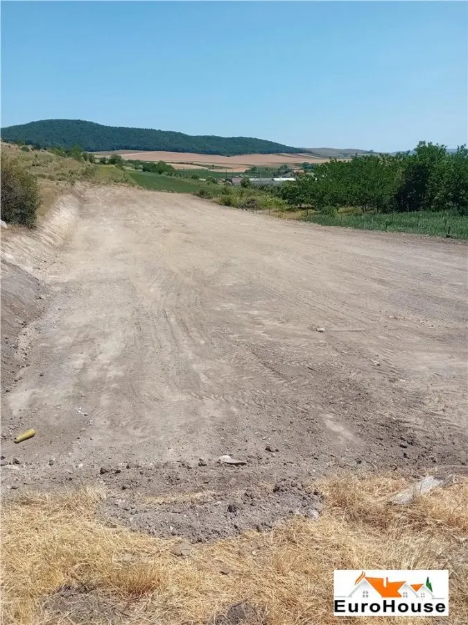 Teren de vanzare in Sard - foto 1