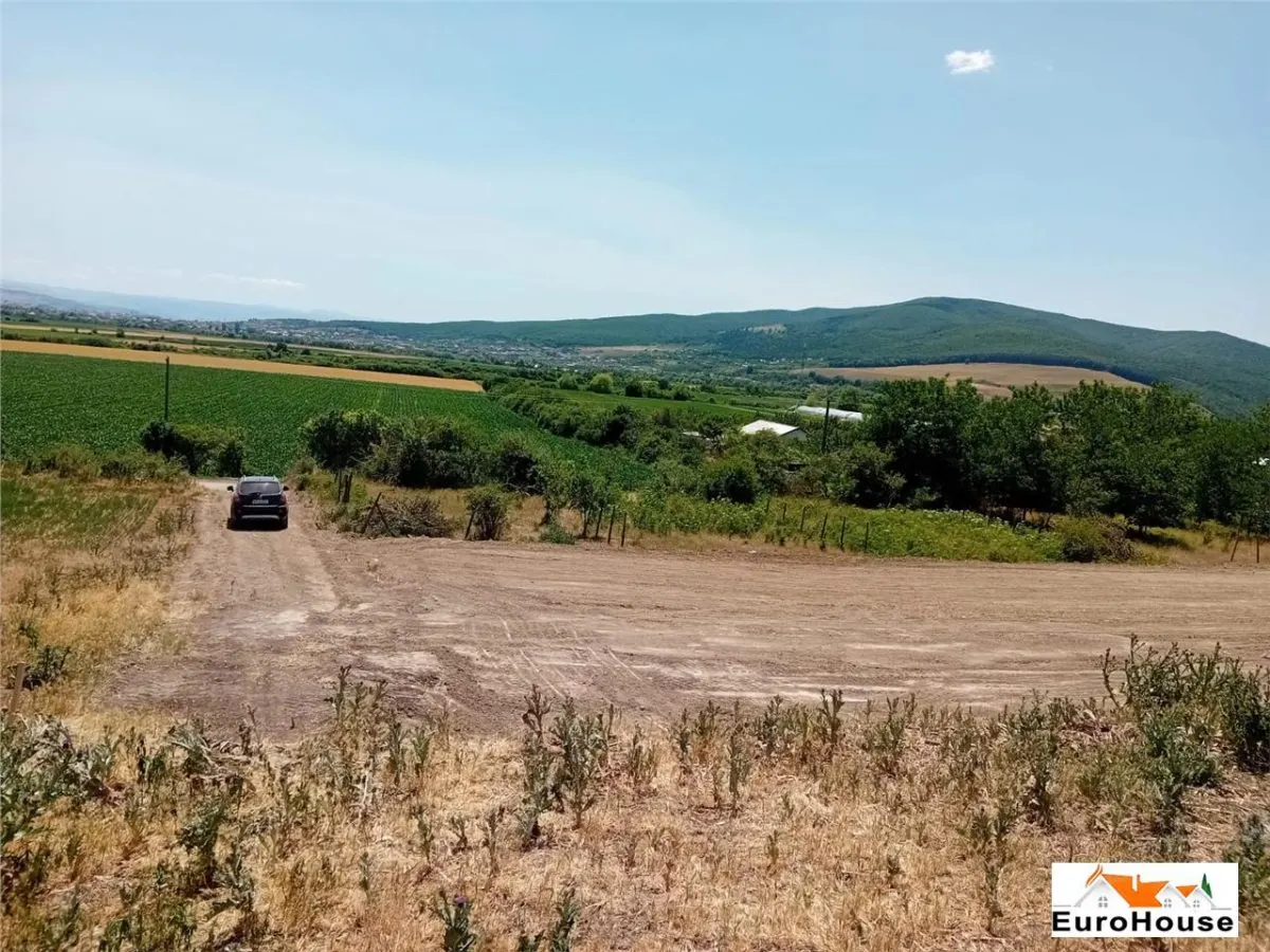 Teren de vanzare in Sard - foto 2