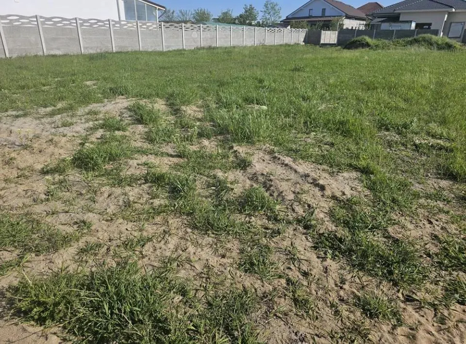 Teren-MOSNITA VECHE -TOATE UTILITATILE - foto 3