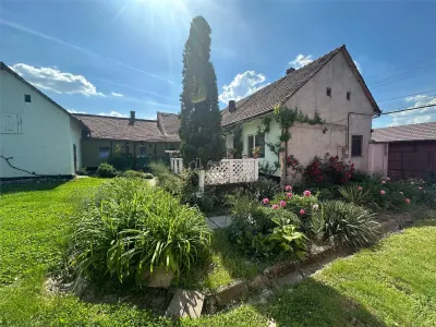 Bocsa Montana, Casa mare la strada principala - foto 26